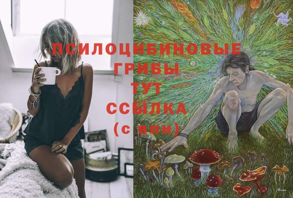 дмт Абдулино