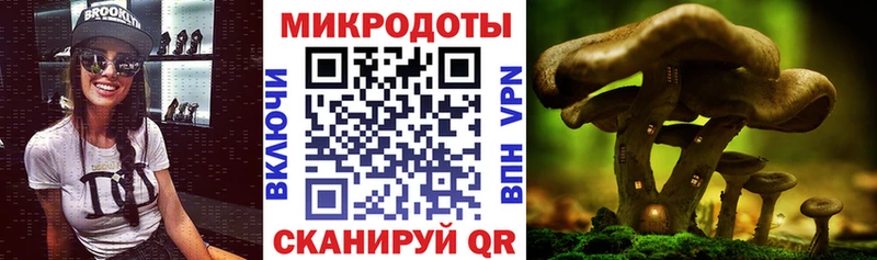 Галлюциногенные грибы Psilocybe Ленинградская