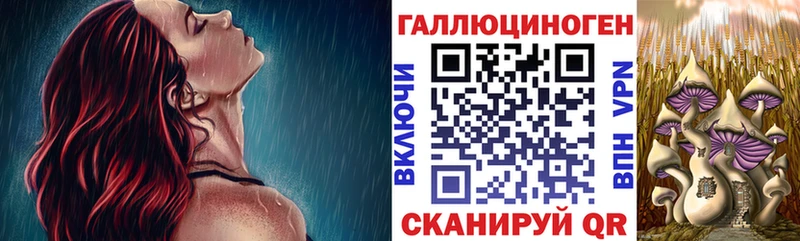 Галлюциногенные грибы Psilocybe  Ленинградская 